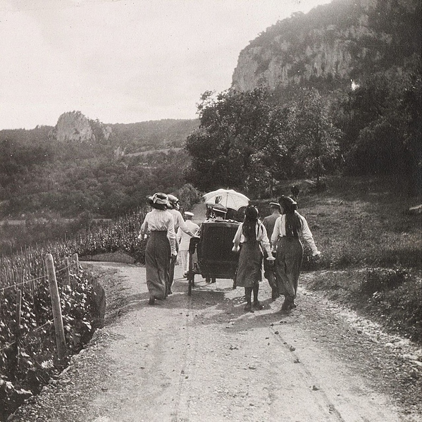 Файл:Ореанда 20260312 180405 449.jpg