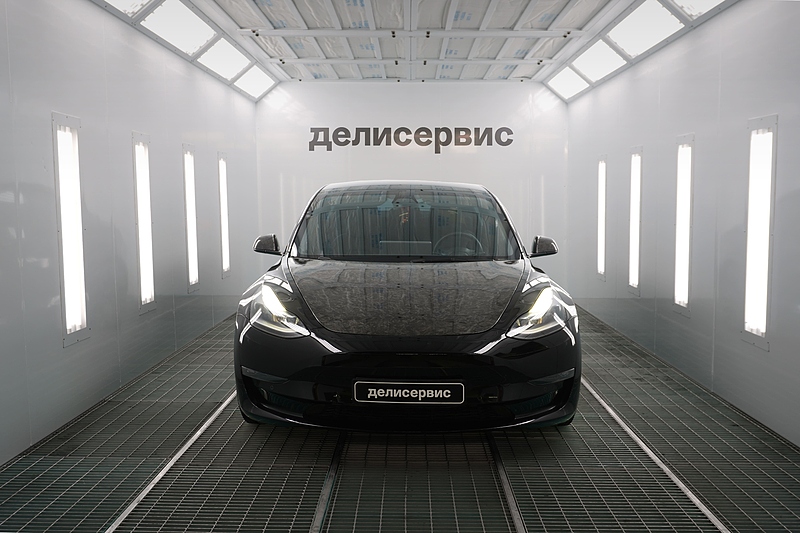 Файл:Делисервис 1.jpg