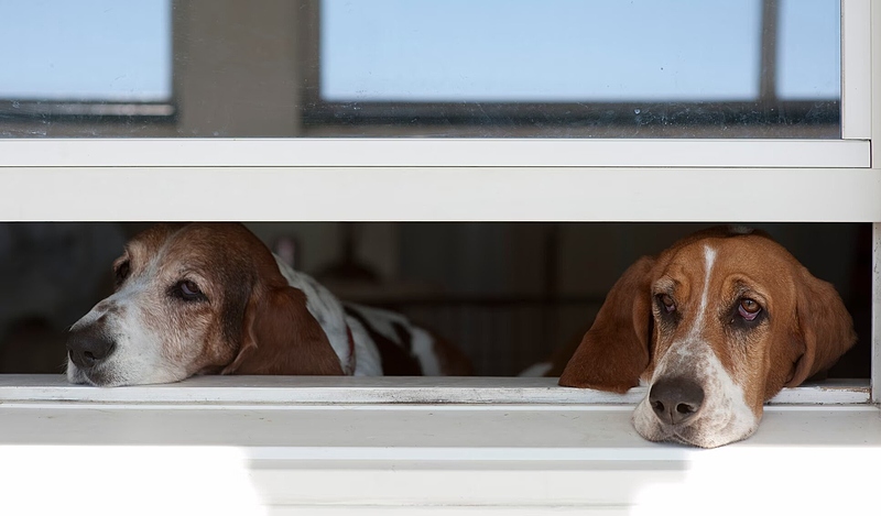 Файл:233905 ref.jpg