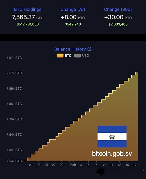 Файл:20260217 034641.jpg