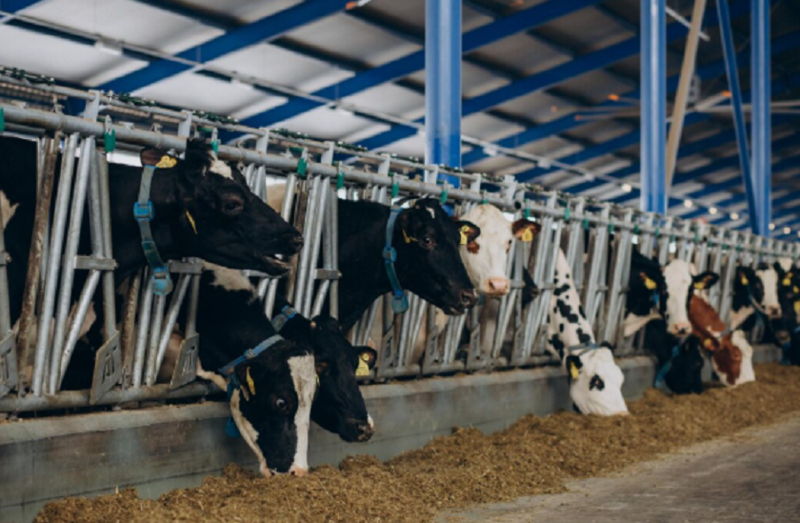 Файл:2025-11-17 15-31-50.png