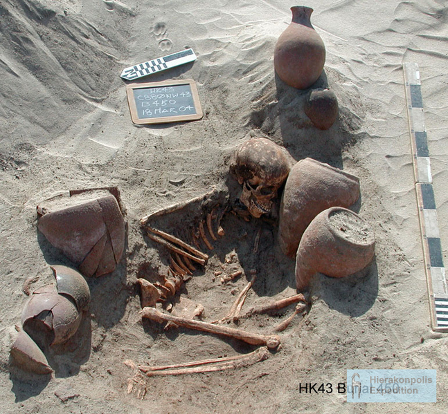 Файл:Нехен 895e321281fb4.jpg