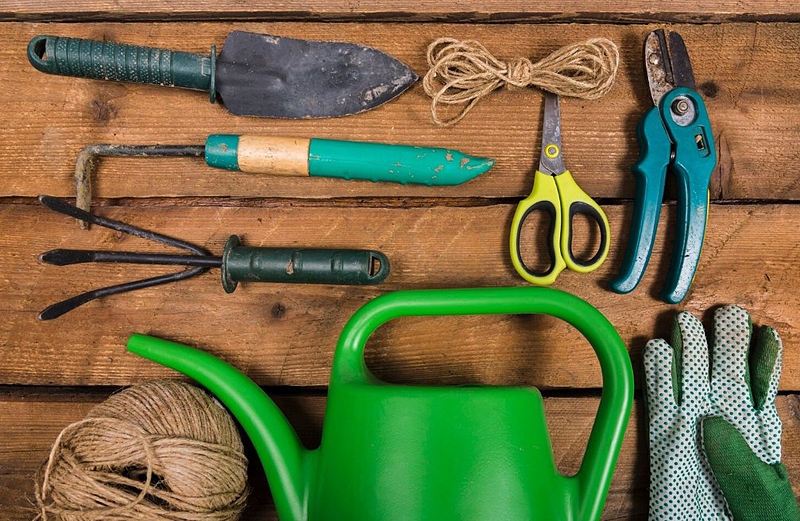 Файл:Photo 5213379369047363649 y.jpg